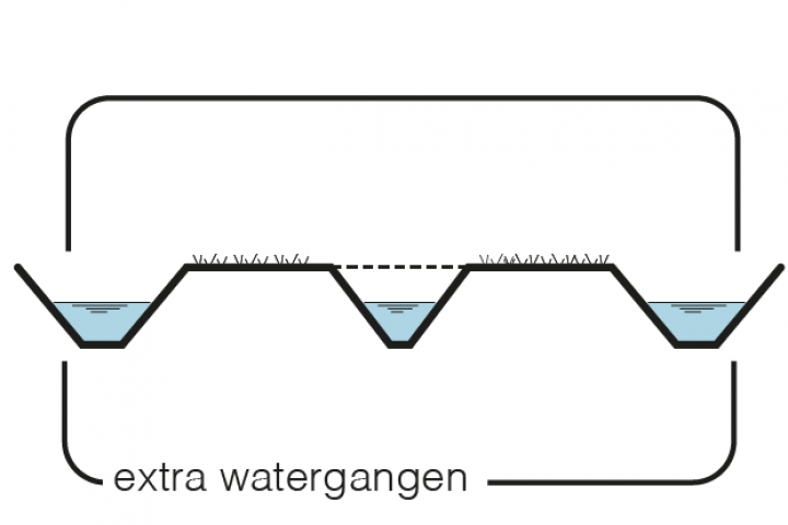 Maatregel 12 Extra watergangen